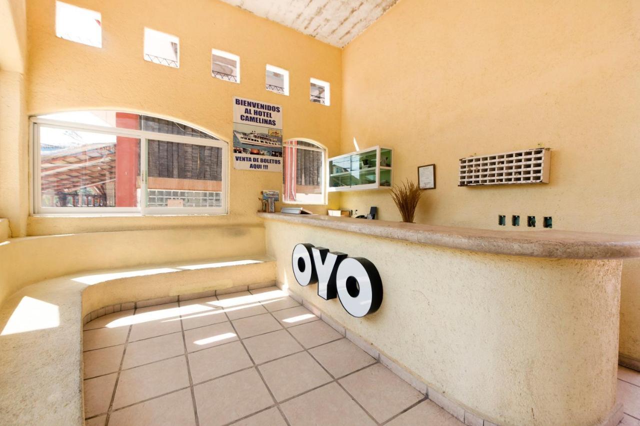 Oyo Camelinas 2*